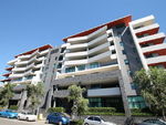 Billbergia-Rhodes.jpg